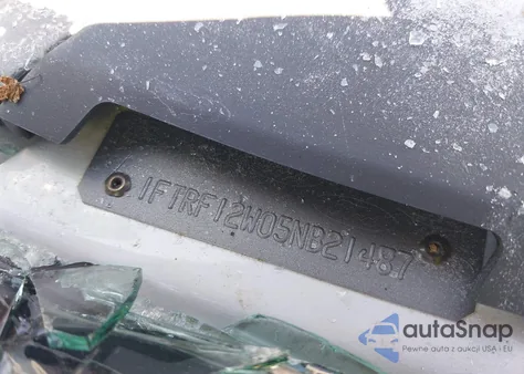 2005 Ford F-150 Stx/Xl/Xlt from USA, damaged, VIN 1FTRF12W05NB21487